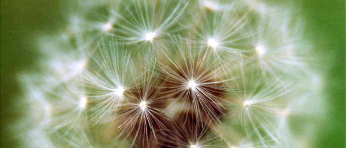 Breathwork Leicester