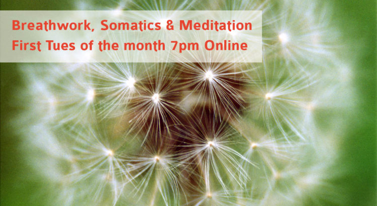 Breathwork, Somatics and meditation online